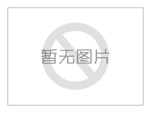 渣漿水泵引見(jiàn)渣漿泵運(yùn)用不當(dāng)容易惹起哪些問(wèn)題？